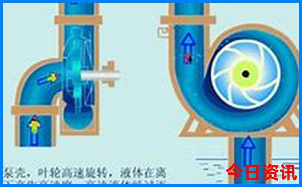 带孩子去青岛哪里玩比较好